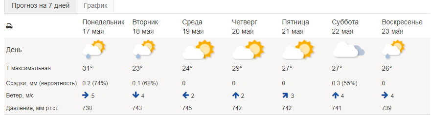 Синоптики пока не прогнозируют существенного снижения жары в Свердловской области