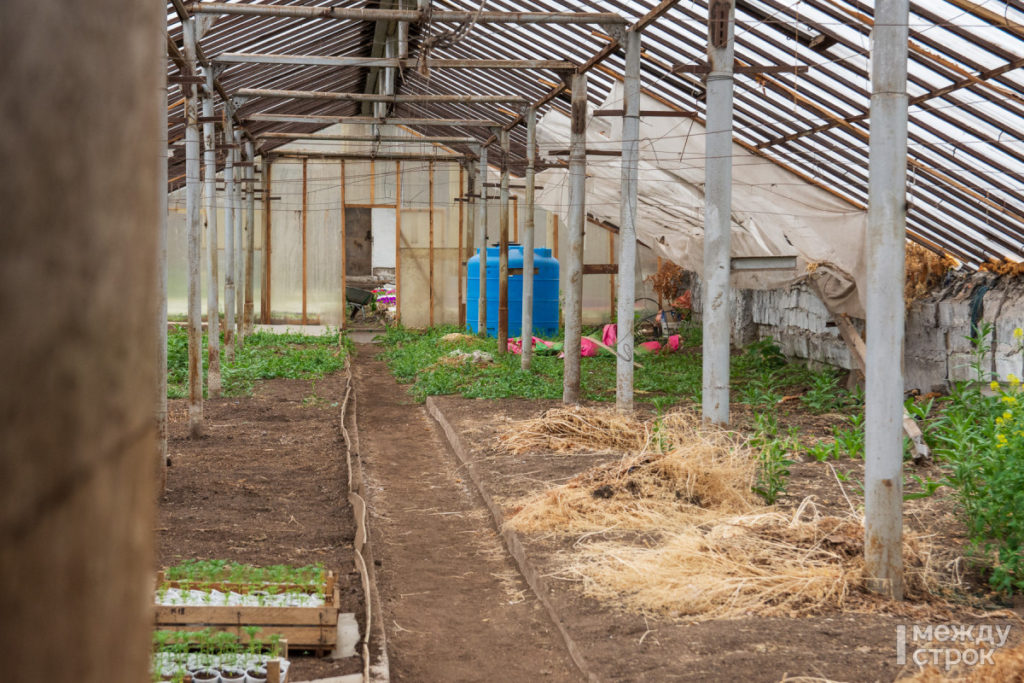 В Нижнем Тагиле восстанавливают разрушенный «Горзеленхоз»
