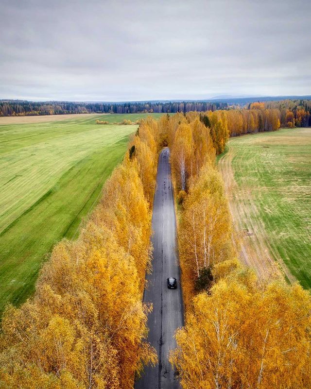 А так осенью выглядит дорога в деревню Пальники