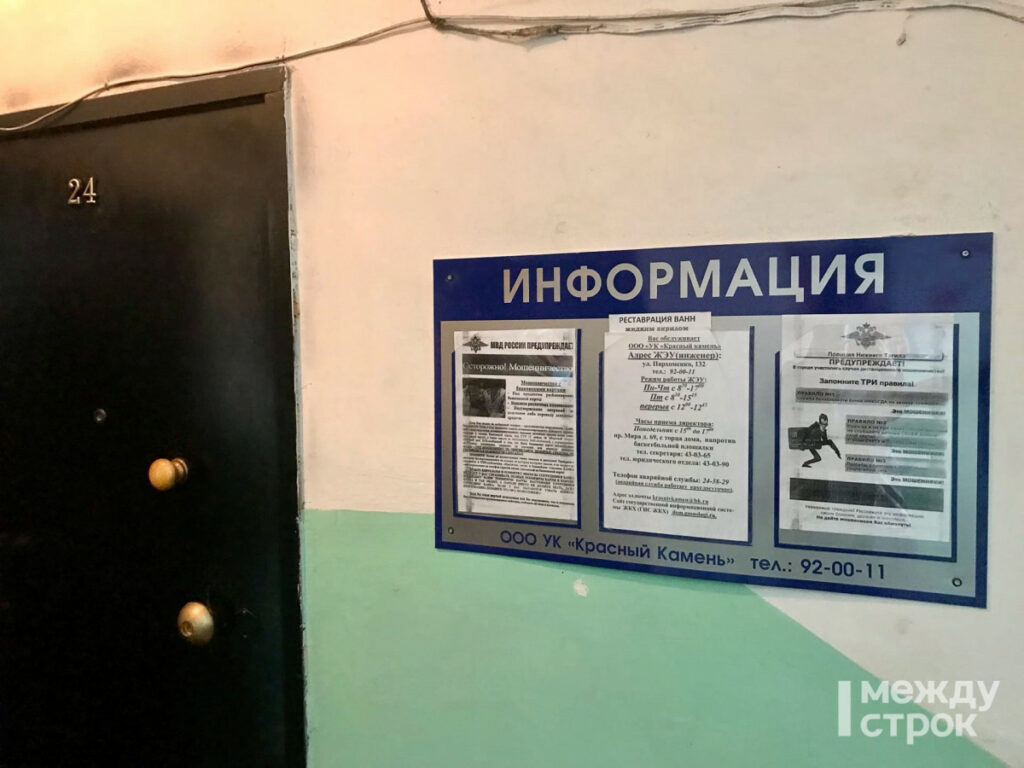 В Нижнем Тагиле с начала года около 700 человек стали жертвами кибермошенников