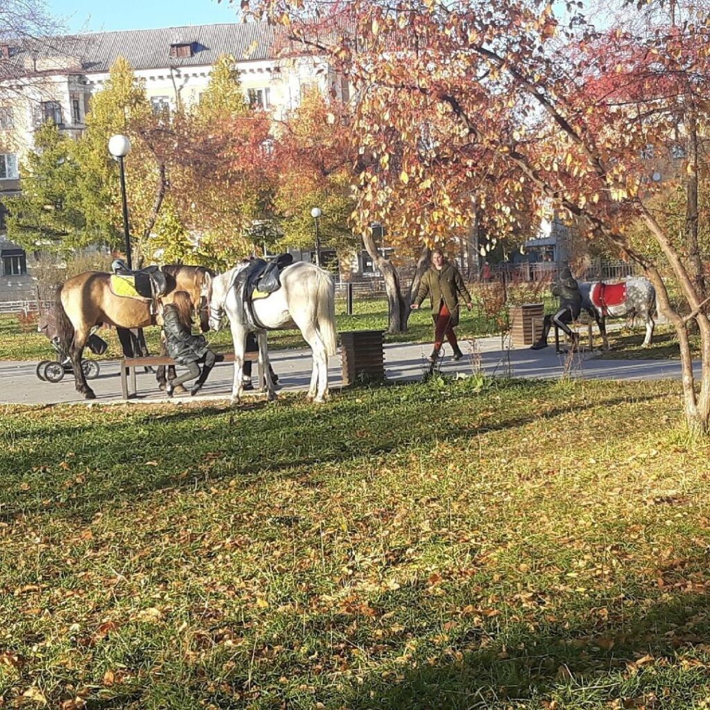 «Лошадиные скачки в центральном сквере — это вообще нормально?!» Жители Нижнего Тагила возмущены бесконтрольными катаниями на лошадях по всему городу