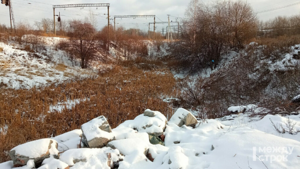 Природоохранная прокуратура Нижнего Тагила проверит незаконную свалку в Кирпичном посёлке 