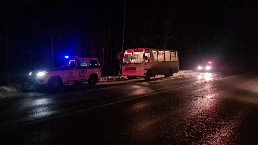 Под Нижним Тагилом автобус сбил пешехода (фото)