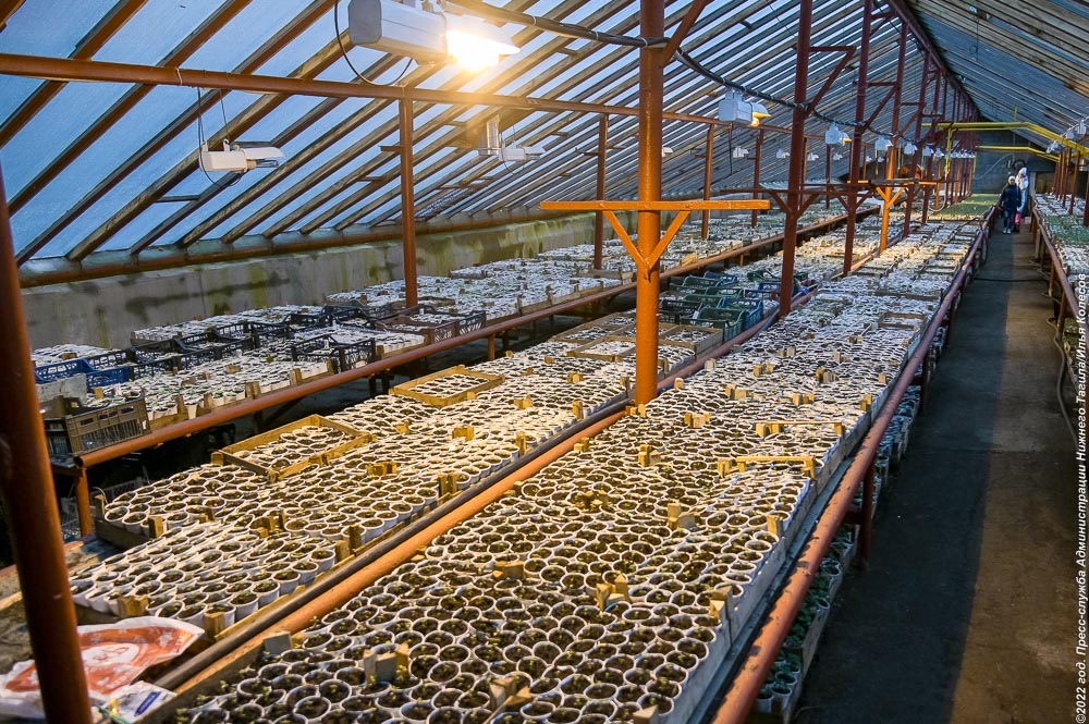 В Нижнем Тагиле восстановили теплицу «Горзеленхоза» (фото)