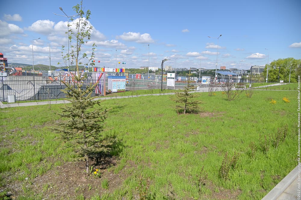 В детском парке за ГДДЮТ появятся новые дорожки и еще больше деревьев и кустарников