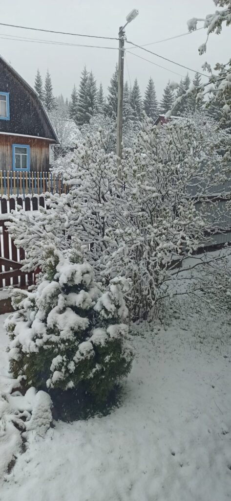 В пригороде Нижнего Тагила выпал снег (фото)