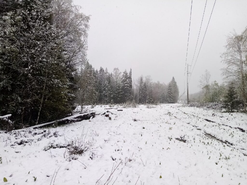 В пригороде Нижнего Тагила выпал снег (фото)