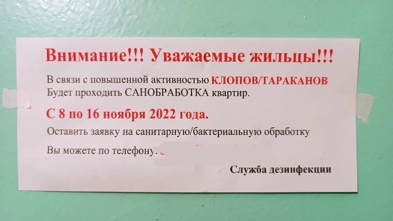 Жесткий маркетинг! Тагильчане утверждают, что дезинсекторы подкидывают  тараканов в жилые дома - С Тагила