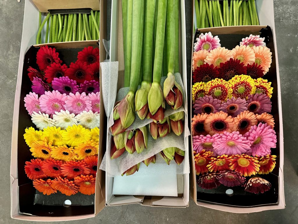 «Стараемся не задерживать этот нежный товар»: свердловские таможенники проверили 233 тонны импортных цветов
