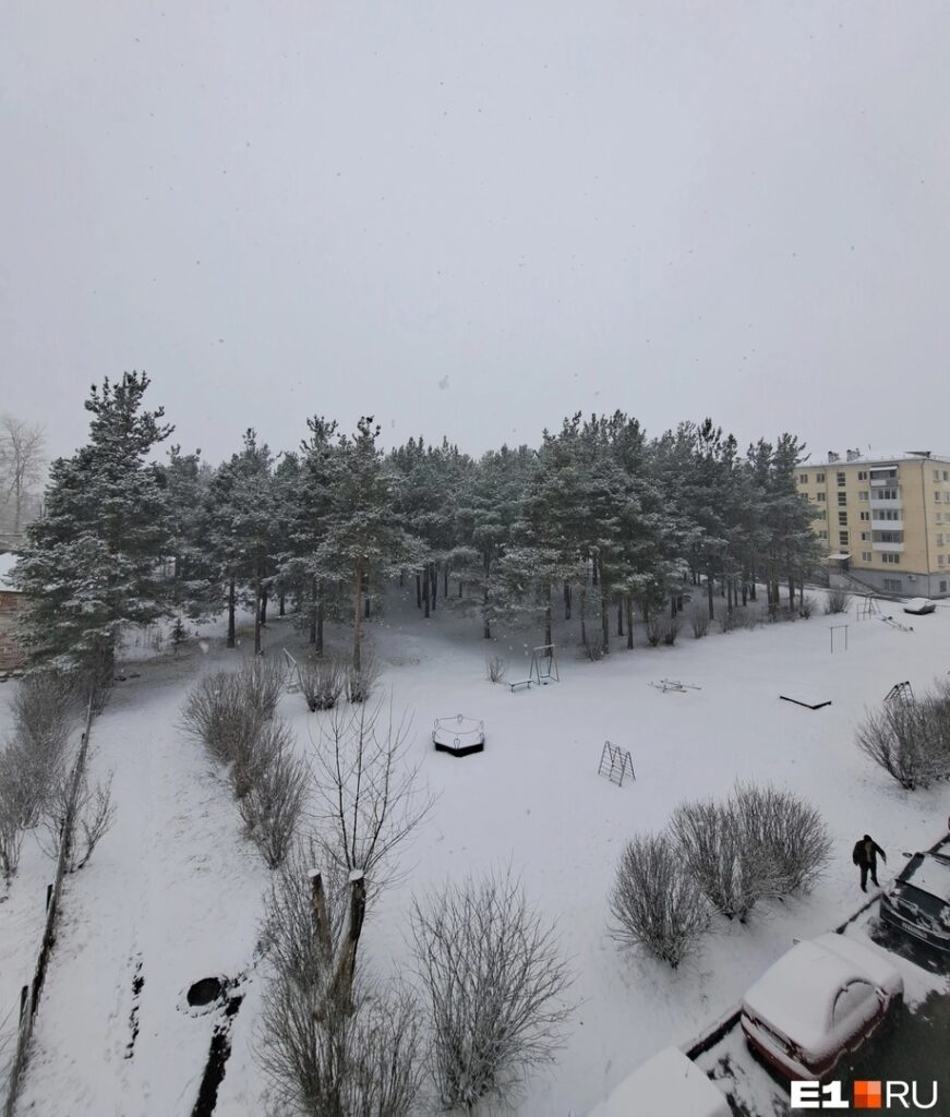 В Свердловской области выпал снег
