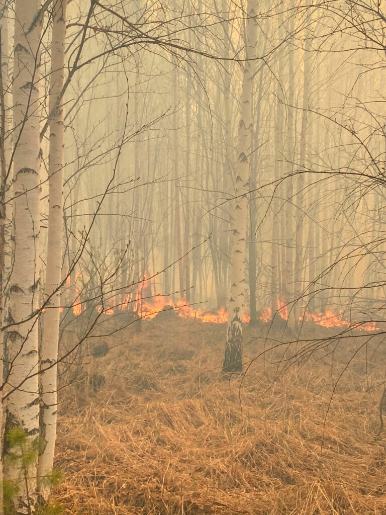 Под Нижним Тагилом горит 150 гектаров леса: что известно о пожаре на Ленёвке (фото)