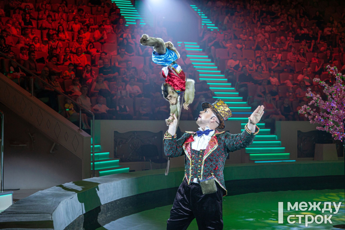 «Никогда не видела, чтобы собака и обезьяна делали сальто назад!» Первые зрители оценили новое представление Нижнетагильского цирка экзотик-шоу «Аливрувер» (0+)