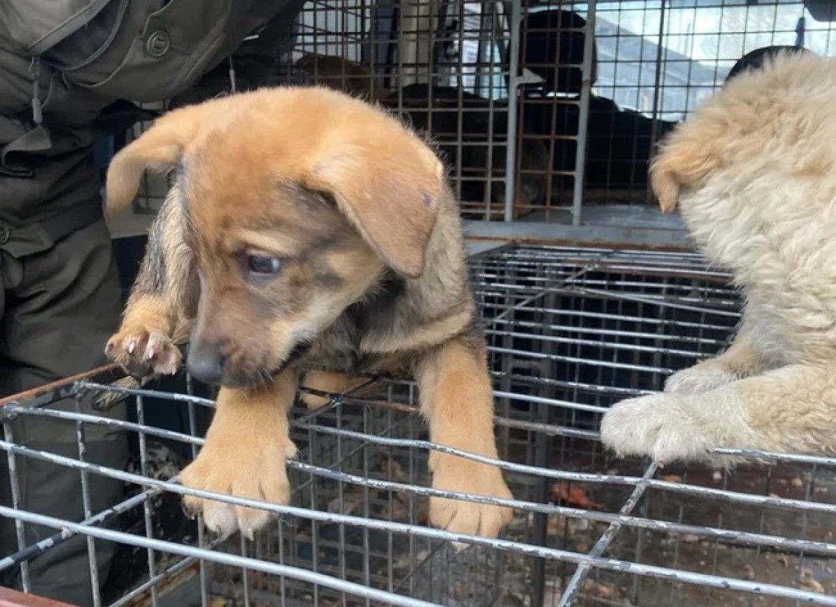 Важные моменты: