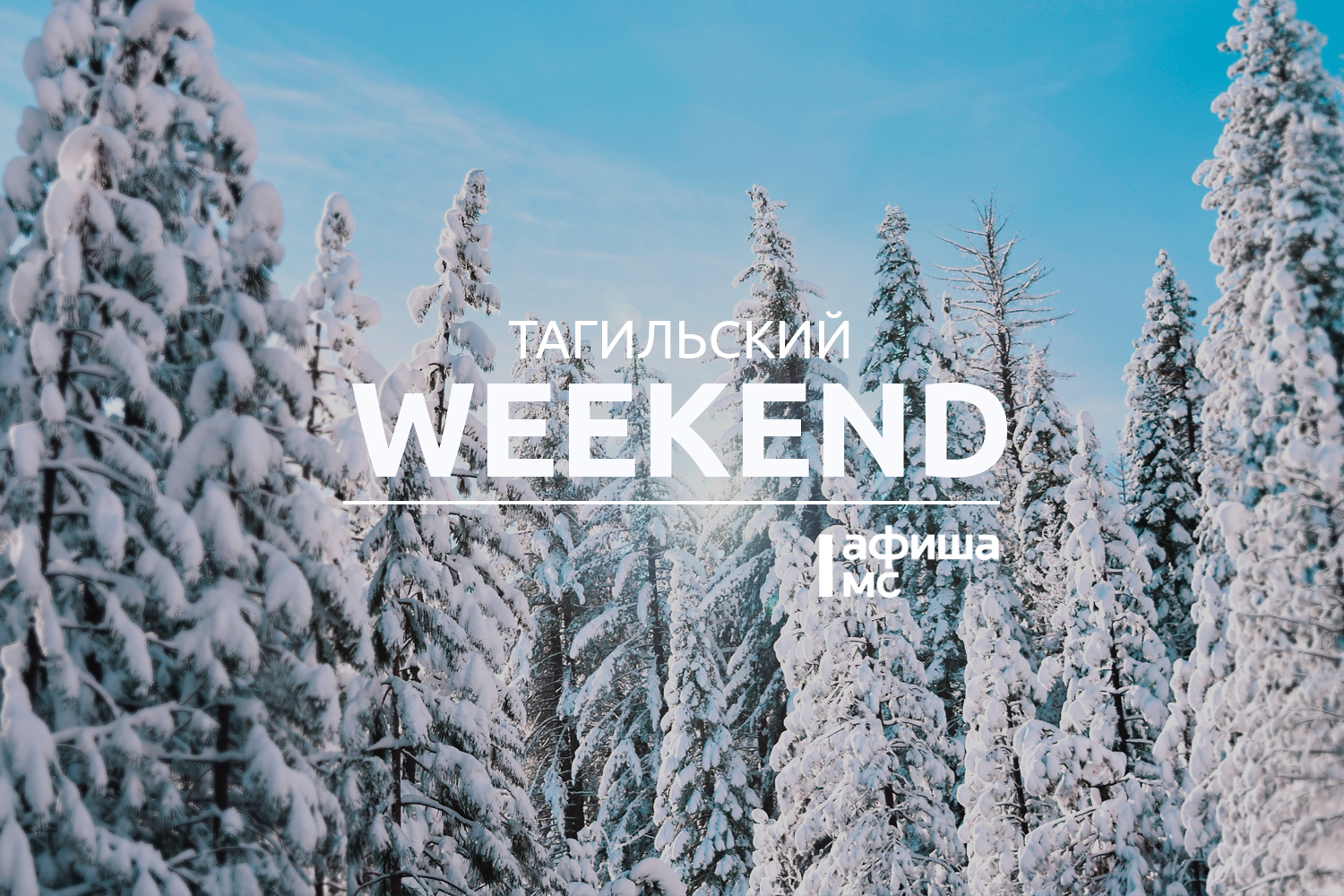 Тагильский weekend топ-7: «морская» выставка, фанк и диско, открытие  лыжного сезона, вечер поэзии и Stand Up - С Тагила