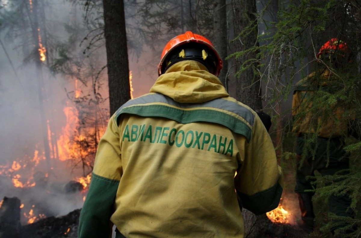 Власти: свердловские лесные пожарные обеспечены всем необходимым,  забастовки не будет - С Тагила