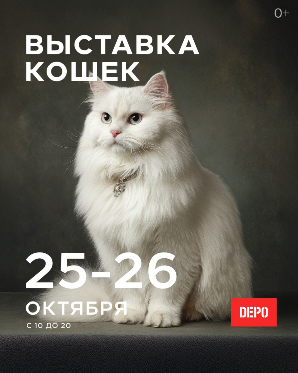 Тагильский weekend топ-6: мистические стихи, выставка кошек редчайших пород, вторая жизнь ваших джинсов и волейбол