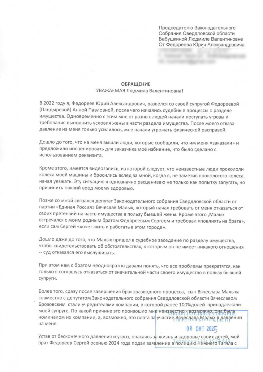 Брат директора Нижнетагильского центра «Мой бизнес» Сергея Федореева обратился к Бастрыкину, Жоге и Паслеру из-за угроз со стороны депутата областного парламента Малых